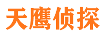 桃源市私家侦探